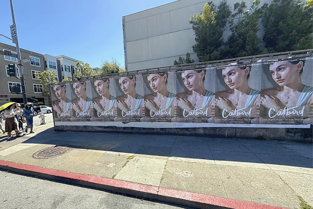 Catbird Wild Posting